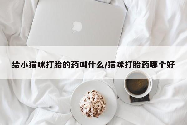 网上米索前列醇在线购买，给小猫咪打胎的药叫什么/猫咪打胎药哪个好